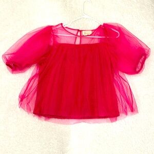 Elegant Pink Sheer Women's Top